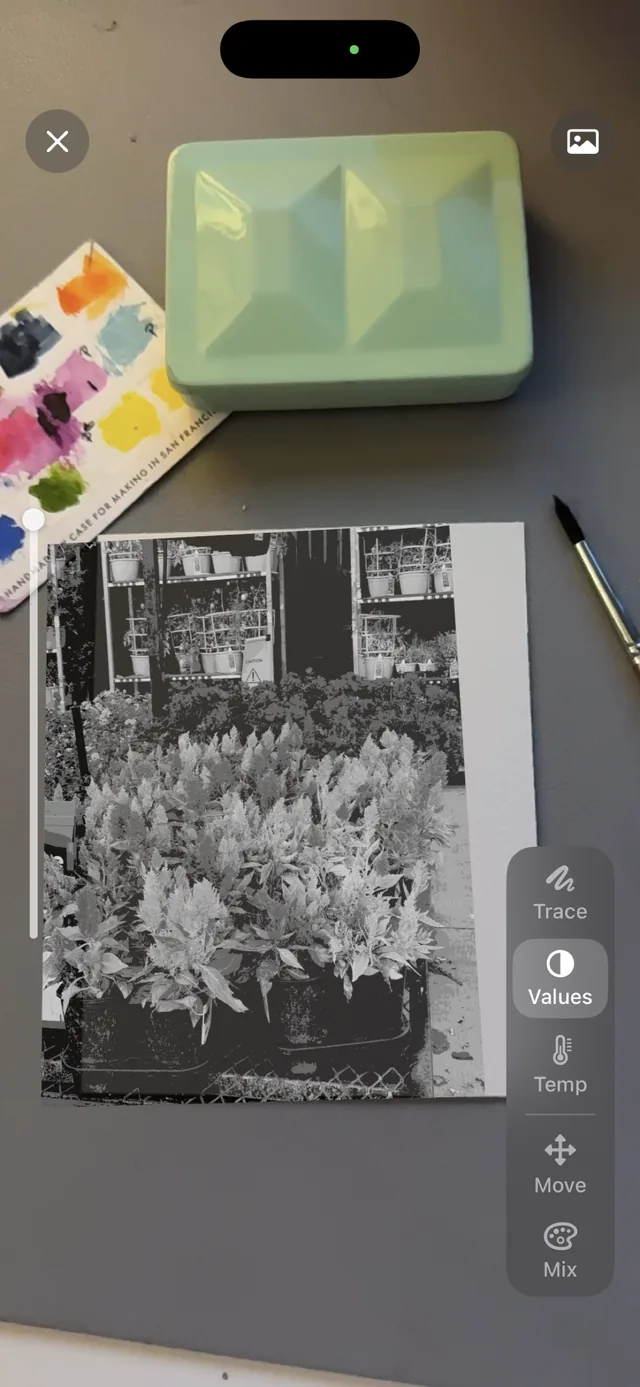 Value study screenshot